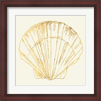 Framed Coastal Breeze Shell Sketches V