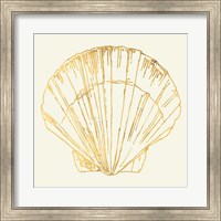 Framed Coastal Breeze Shell Sketches V