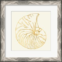 Framed Coastal Breeze Shell Sketches VII