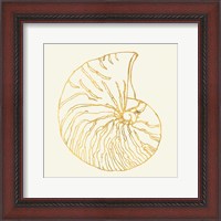 Framed Coastal Breeze Shell Sketches VII