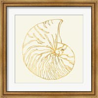 Framed Coastal Breeze Shell Sketches VII