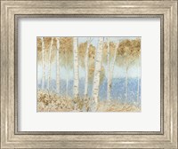 Framed Summer Birches