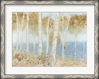 Framed Summer Birches