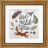 Framed Live Wild and Free