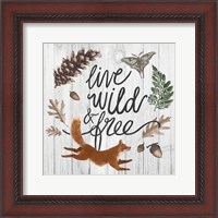 Framed Live Wild and Free