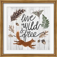 Framed Live Wild and Free