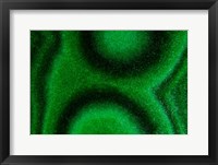 Framed Malachite 2