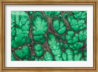 Framed Malachite 3