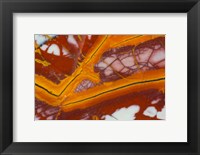 Framed Noreena Jasper Rock Slab