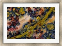 Framed Ocean Jasper from Madagascar 5