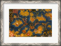 Framed Poppy Jasper