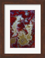 Framed Red Moss Agate Slab