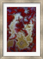 Framed Red Moss Agate Slab