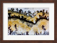 Framed Silver Lace Onyx 1