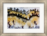 Framed Silver Lace Onyx 1