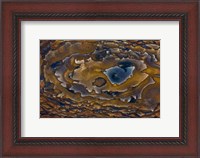 Framed Swirl Pattern on Deschutes Jasper Slab