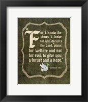 Framed Jeremiah 29:11 For I know the Plans I have for You (White Dove)