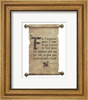 Framed Jeremiah 29:11 For I know the Plans I have for You (Dove on Scroll)