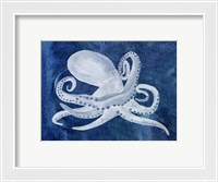 Framed Cephalopod I