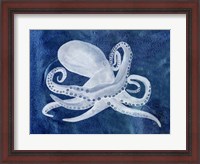 Framed Cephalopod I