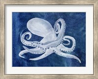 Framed Cephalopod I