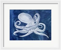 Framed Cephalopod I