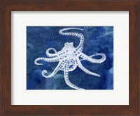 Framed Cephalopod II