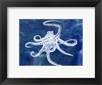 Framed Cephalopod II