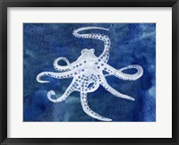 Framed Cephalopod II