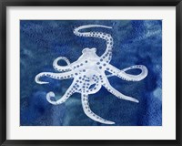 Framed Cephalopod II