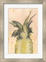 Framed Pineapple Delight II