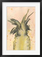 Pineapple Delight II Framed Print