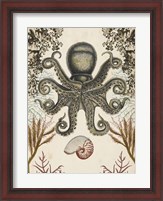 Framed Antiquarian Menagerie - Octopus