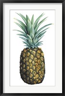 Framed Watercolor Pineapple I