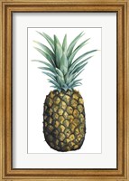 Framed Watercolor Pineapple I