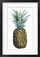 Watercolor Pineapple I Framed Print