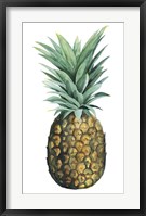 Framed Watercolor Pineapple II