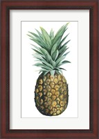 Framed Watercolor Pineapple II