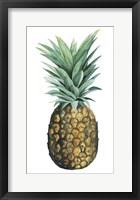 Watercolor Pineapple II Framed Print