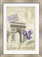 Framed Paris Tour II