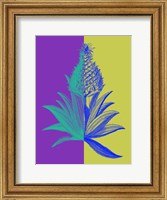 Framed Pineapple Mix II