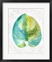 Ocean Side Palms  I Framed Print