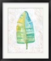 Ocean Side Palms  V Framed Print