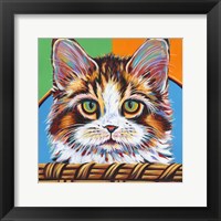 Kitten in Basket II Framed Print