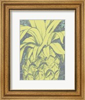 Framed Kona Pineapple I