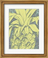 Framed Kona Pineapple I
