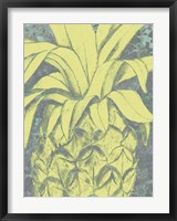 Framed Kona Pineapple I