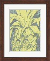 Framed Kona Pineapple I