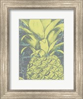 Framed Kona Pineapple II