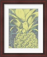 Framed Kona Pineapple II